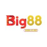Big88 Usorg Profile Picture