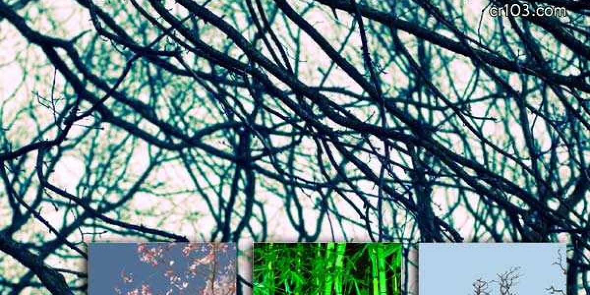 Best Real Money Australian Online Casino Sites for 2025