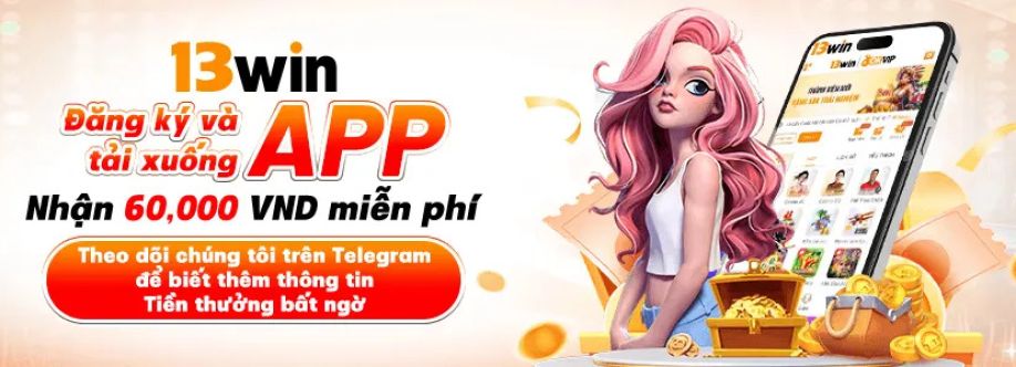 13WIN Link Cover Image