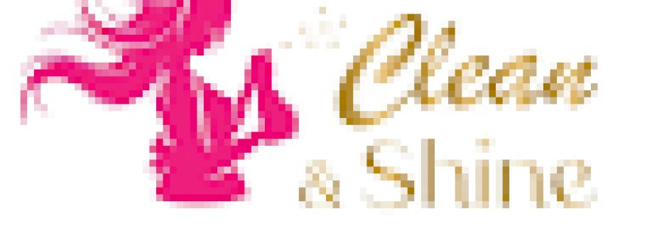 Clean and Shine Cover Image