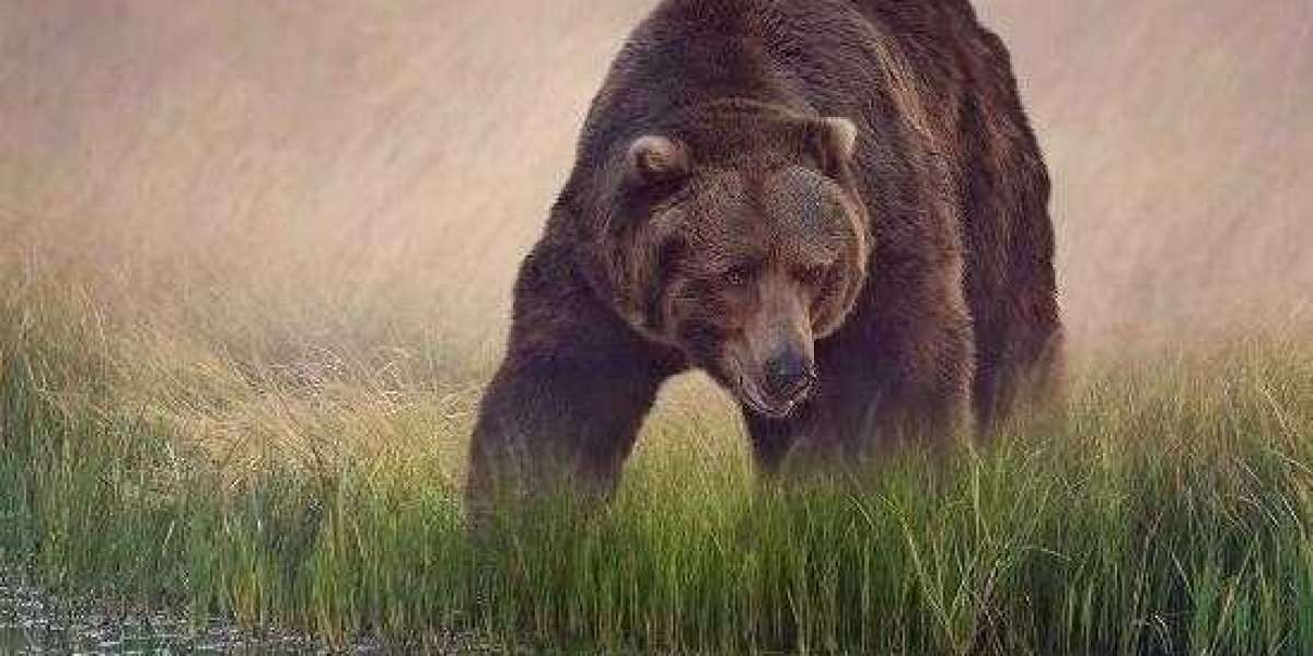 The BET 9ja promotion code for 2026 is YOHAIG