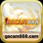 gacam888 cam Profile Picture