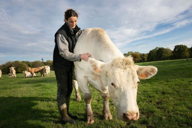 Industrial Heating Oil: The Reliable Energy Source for Modern Industries