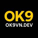 ok9vndev ok9vndev Profile Picture