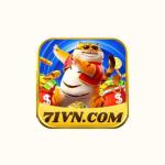 71vn Profile Picture