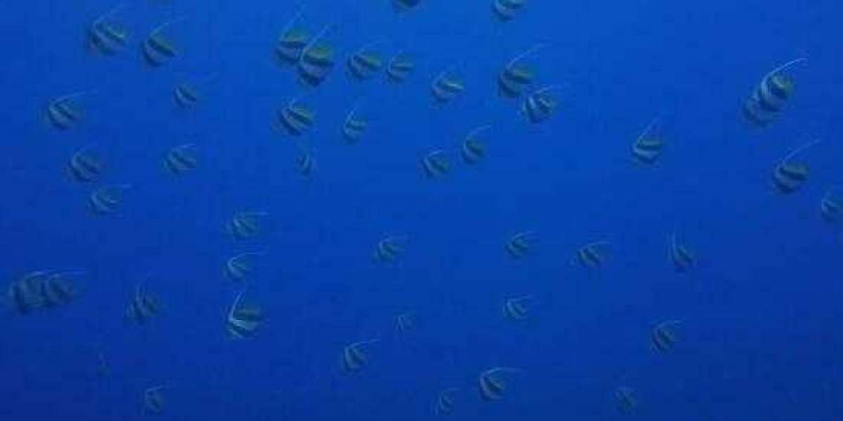 The BET 9ja promo code this 2026 is YOHAIG