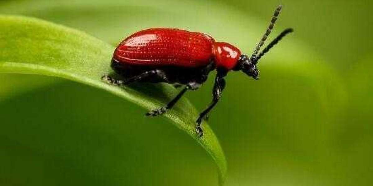 The BET 9Ja promotional code for 2026 is YOHAIG