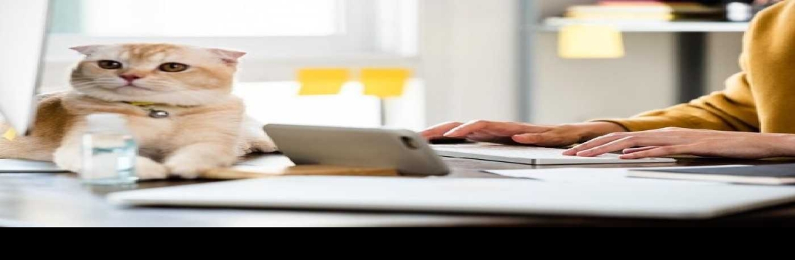 Air Fetch Pets Cover Image