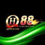 QH88 Profile Picture