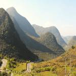 tvpalmtr Profile Picture