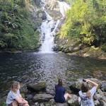 tvpalmda Profile Picture