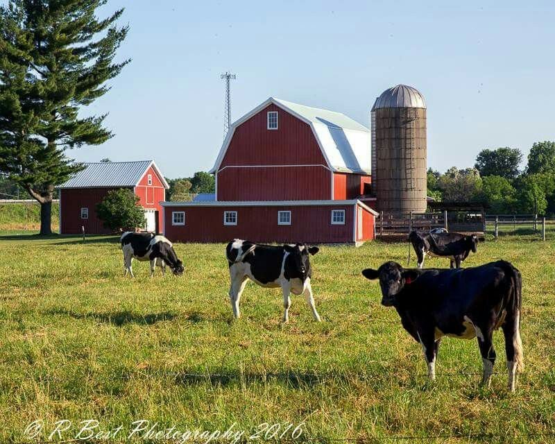 Farm Fuel Additives: Improving Reliability on Today’s Farms