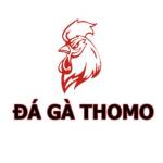 Đá gà Thomo Profile Picture
