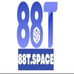 88T space Profile Picture