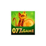 077 game Profile Picture
