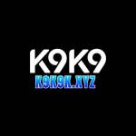 K9k9k xyz Profile Picture