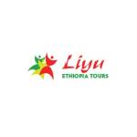 Liyu Ethiopia Tours Profile Picture