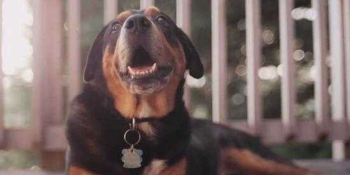 The BET 9ja promotional code for 2026 is YOHAIG