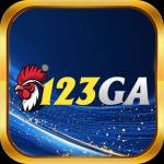 123GA CAM Profile Picture