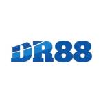 DR 88 Profile Picture