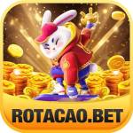 ROTACAO BET Profile Picture