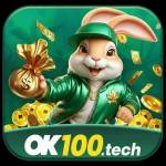Ok100 tech Profile Picture