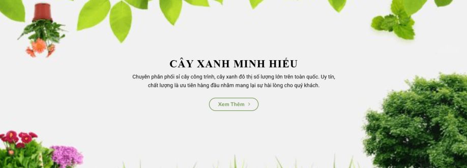 Cây Xanh Minh Hiếu Cover Image