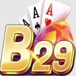 B29MOM Profile Picture