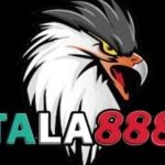 Tala888 Profile Picture