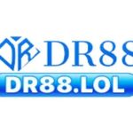DR88 Profile Picture