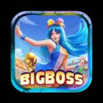 bigboss bigboss Profile Picture