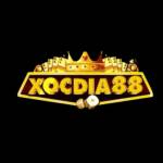 Xocdia88 Cổng game xóc đĩa Profile Picture
