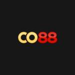 co88vin1 Profile Picture