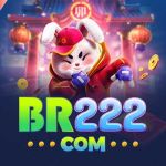 BR222 Profile Picture