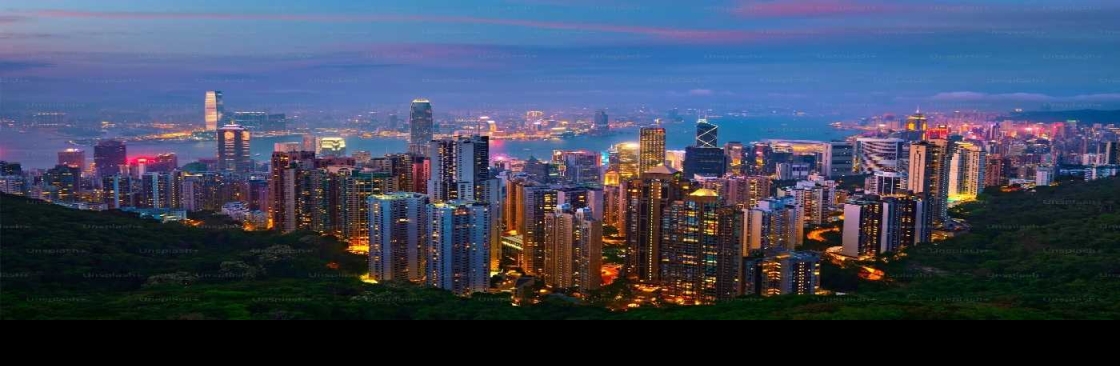 International Property Alerts Cover Image