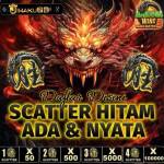 slot demo Profile Picture