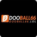 DOOBALL66 Profile Picture