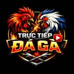 Trực Tiếp Đá Gà Profile Picture