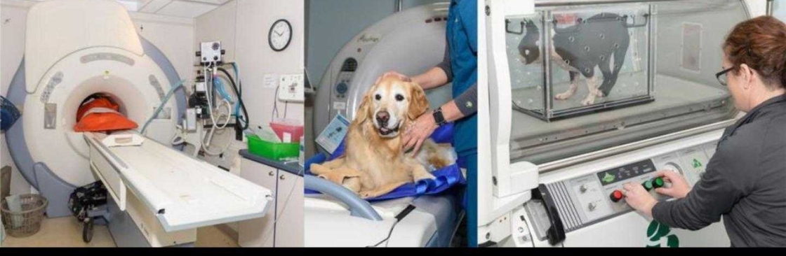 Veterinary Neurology And Imaging of the Chesapeake Cover Image