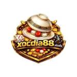 Xocdia88 Profile Picture