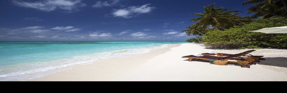 bookflight strip Cover Image