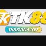 TK88 VINA Profile Picture