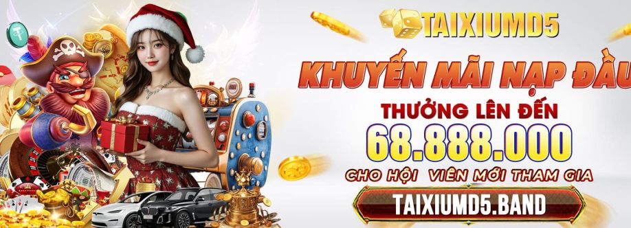 taixiumd5 band Cover Image