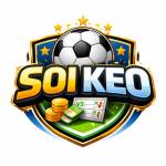 Soikeo jp net Profile Picture