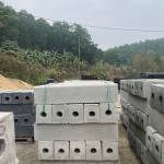 betongnguyengs Profile Picture