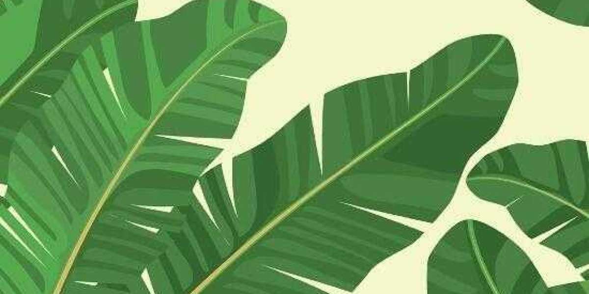 The BET9ja promotion code 2026 is YOHAIG