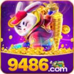 9486 Profile Picture