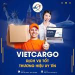 VietCargo Logictis Profile Picture