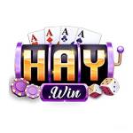 HAYWIN Nhà cái casino trực tuyến Profile Picture