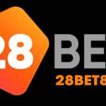 28bet 8io Profile Picture